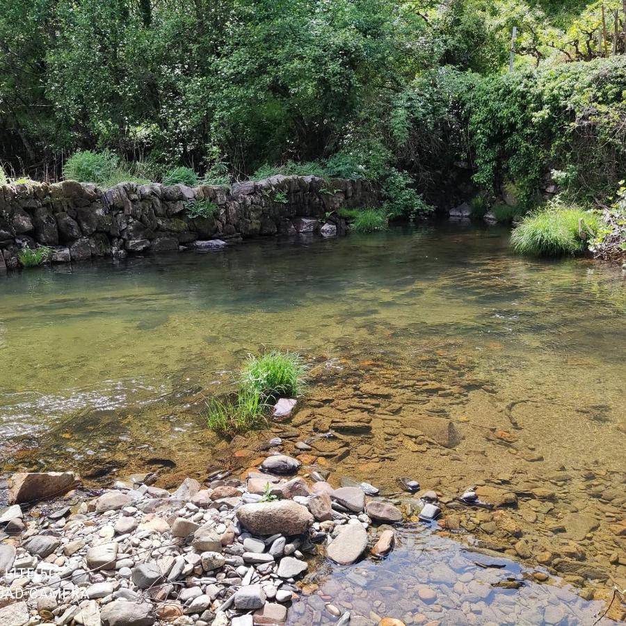 Pampihouse, Luxury Rustic House Near River Pampilhosa da Serra Buitenkant foto