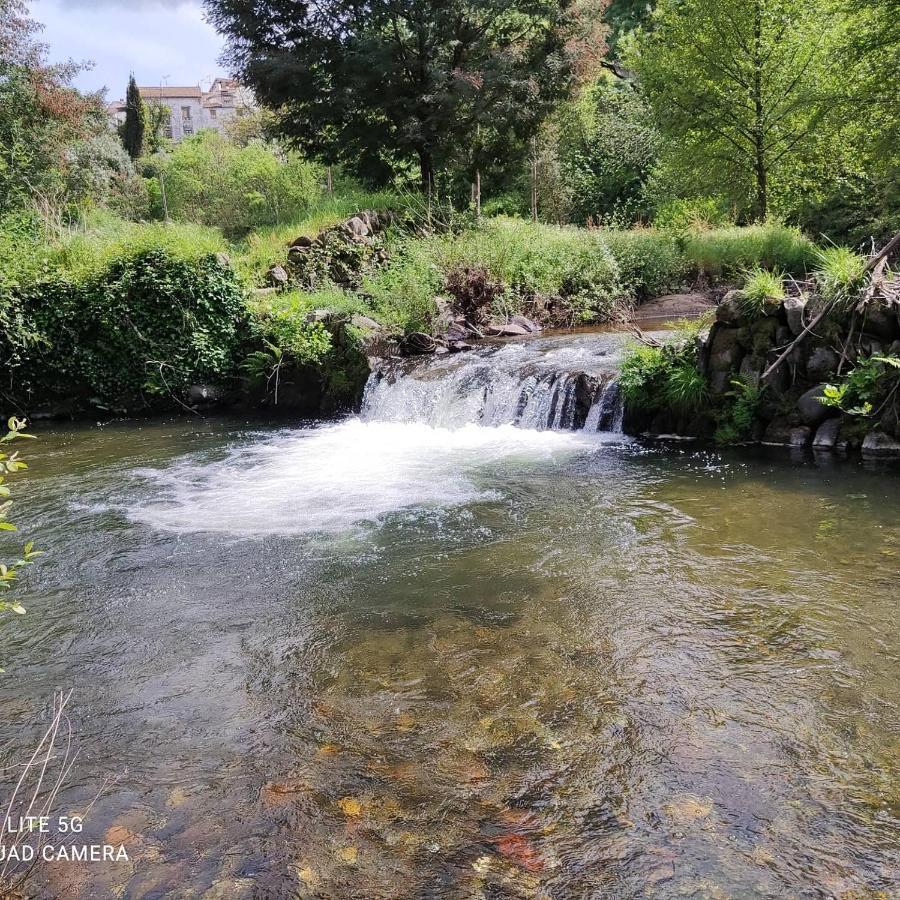Pampihouse, Luxury Rustic House Near River Pampilhosa da Serra Buitenkant foto