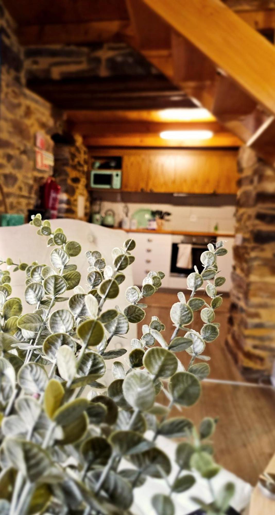 Pampihouse, Luxury Rustic House Near River Pampilhosa da Serra Buitenkant foto